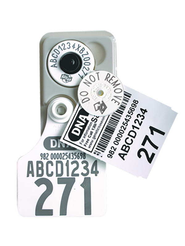 DNA Tags Allflex Livestock Intelligence Australia