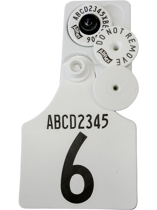 Electronic Identification Allflex Livestock Intelligence Australia