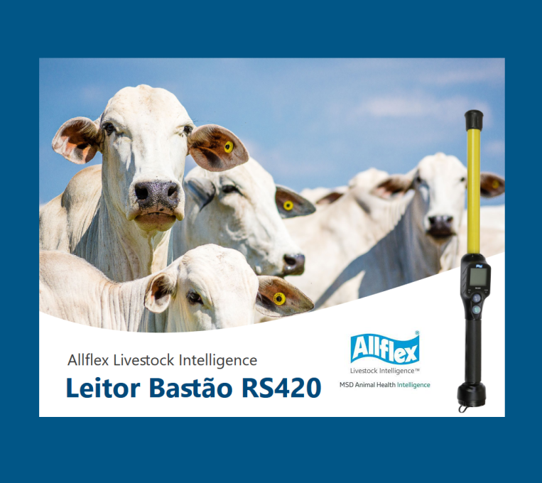 Manual Leitor Bastão RS420