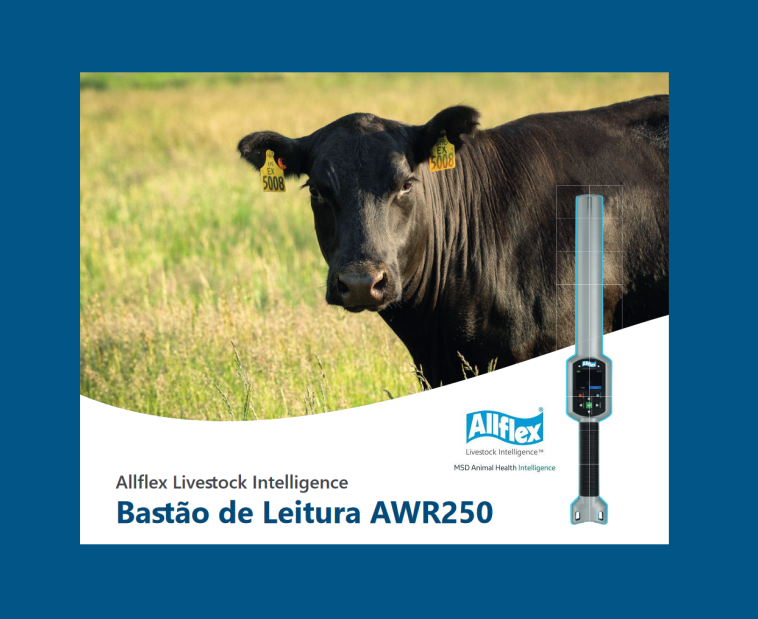 Bastão leitor AWR250