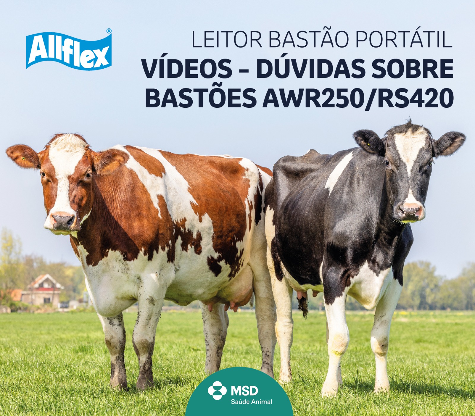 Suporte - Allflex Brasil