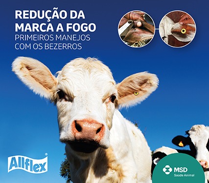 Suporte - Allflex Brasil