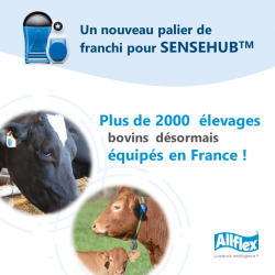 2000eme-sensehub