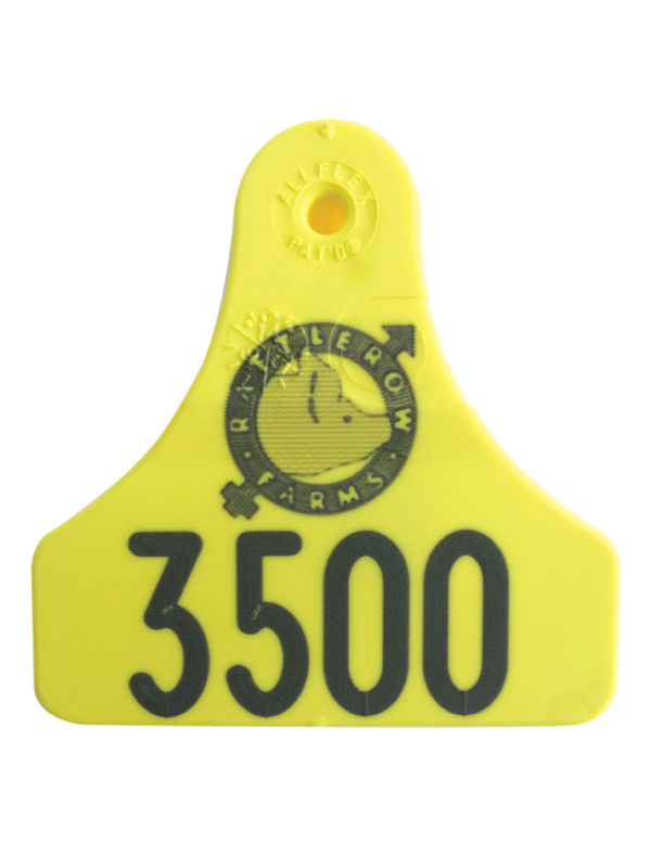 Pig Tags Allflex Livestock Intelligence Ireland