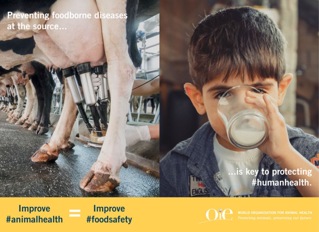 Seguridad alimentaria