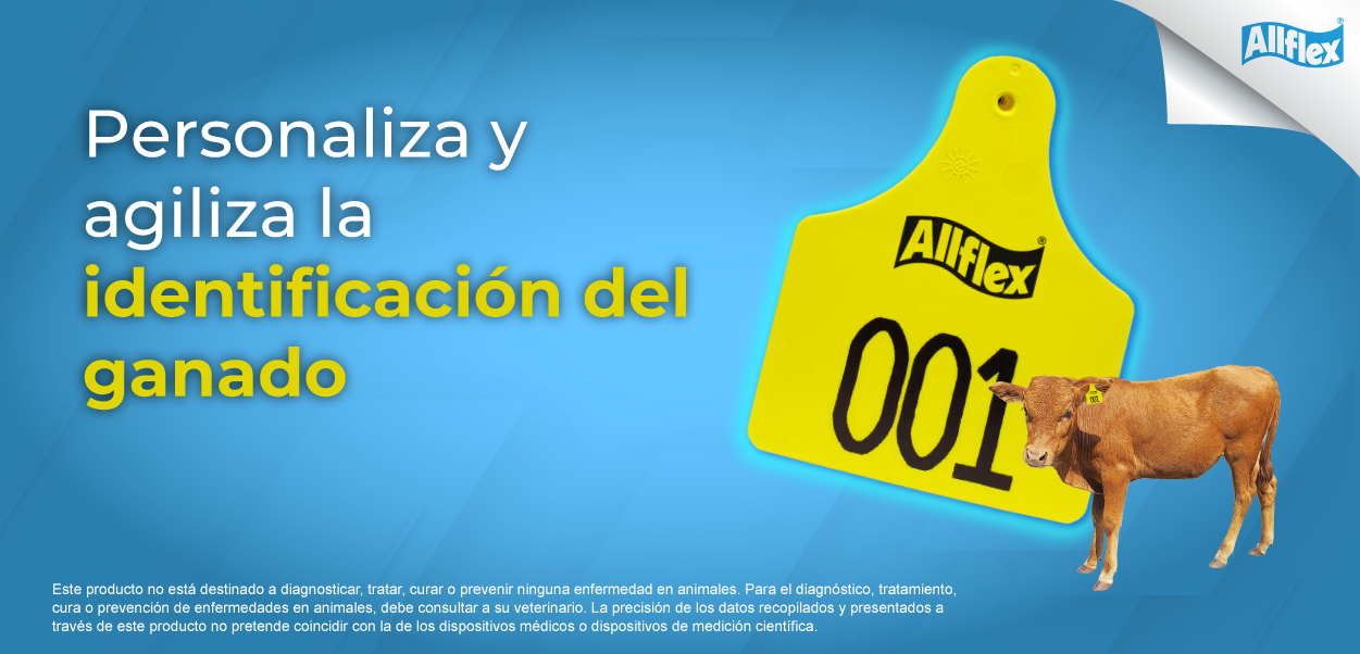 Identificador visual