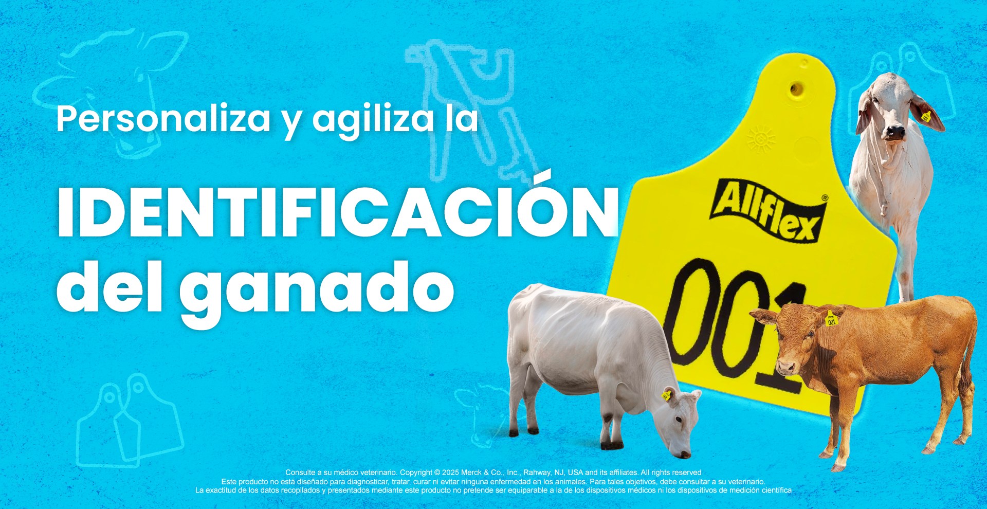 Allflex México