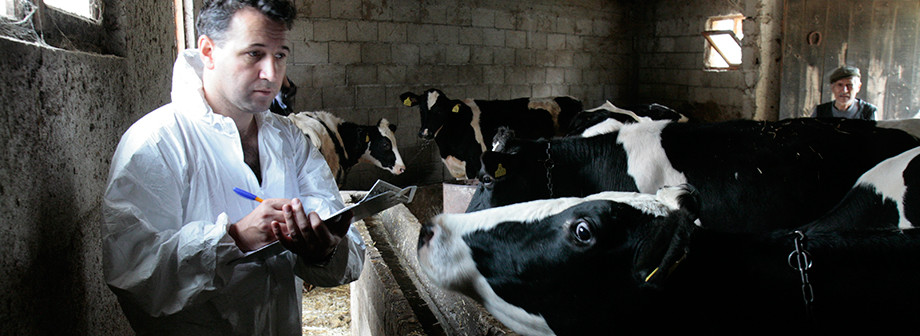 Seguridad alimentaria