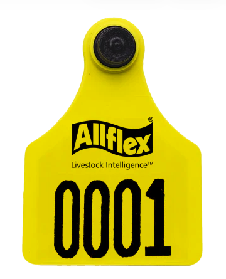 aretes-bovinos-aretado1