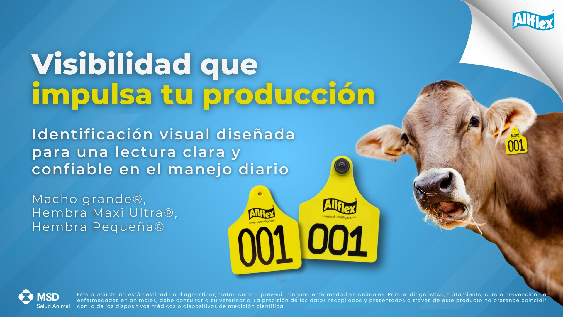 Visibilidad que impulsa tu producci&oacute;n