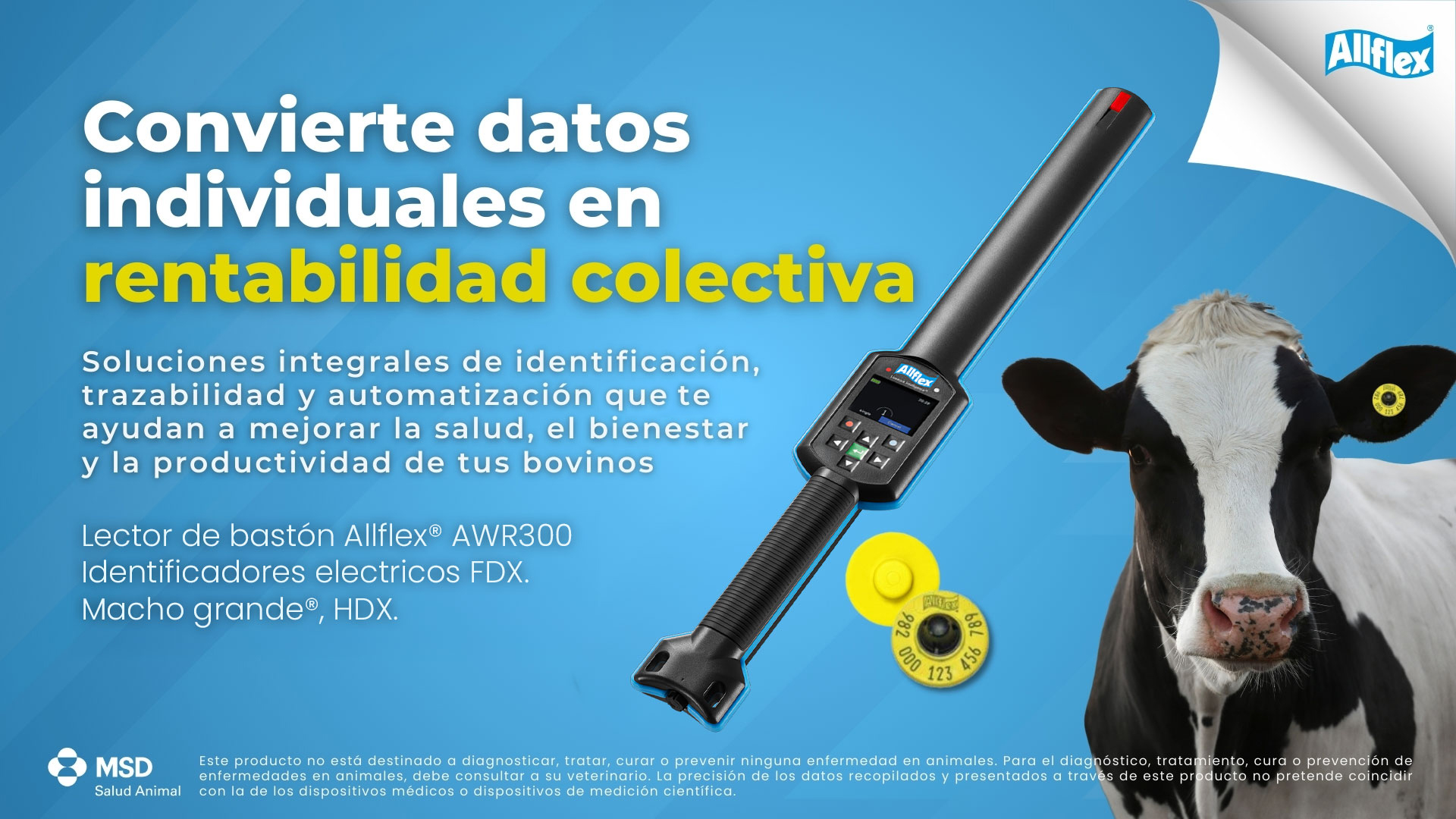 Convierte datos individuales en rentabilidad colectiva