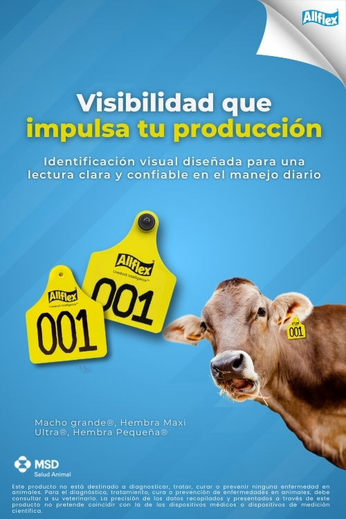 Visibilidad que impulsa tu producci&oacute;n