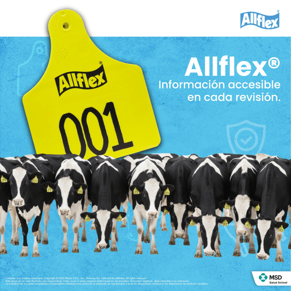 aretes-bovinos-visuales2