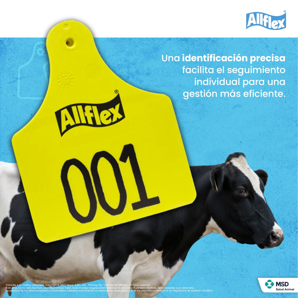 aretes-bovinos-visuales1