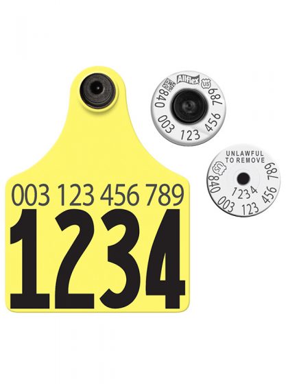 Animal Tag
