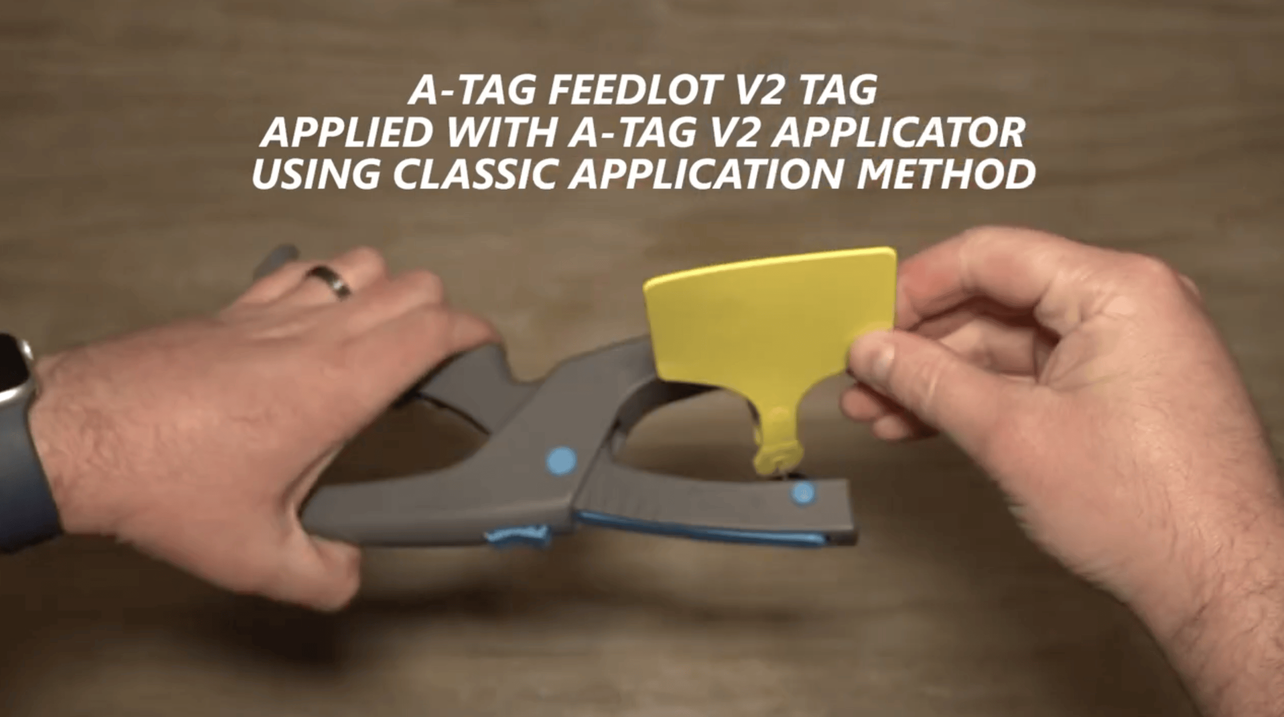 Support - Allflex | Livestock Identification Tags, Tissue Sampling, and ...