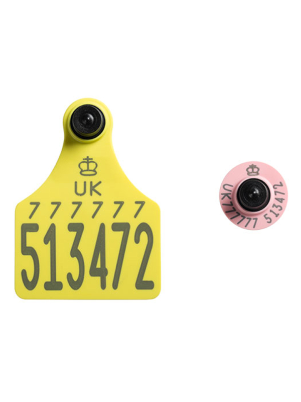 Replacement Tags Allflex Livestock Intelligence United Kingdom