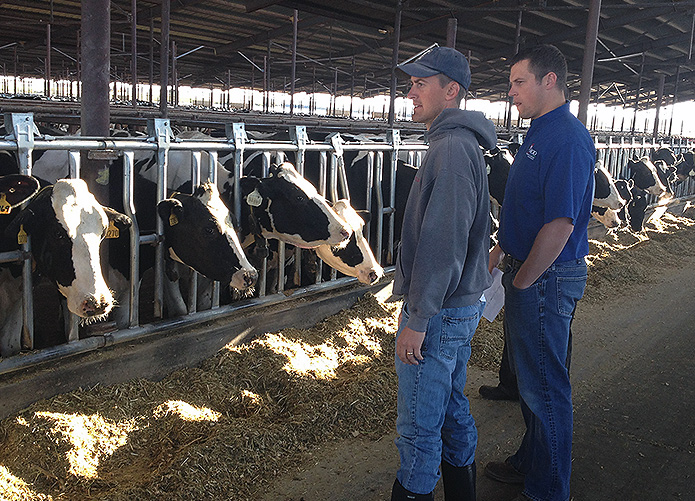 Cannon dairy Idaho Allflex Livestock Intelligence Global