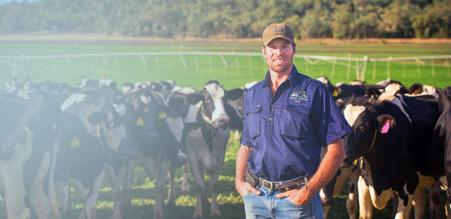 How Cattle Management Solutions Can Help Farmers Be Better