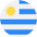 Allflex Uruguay